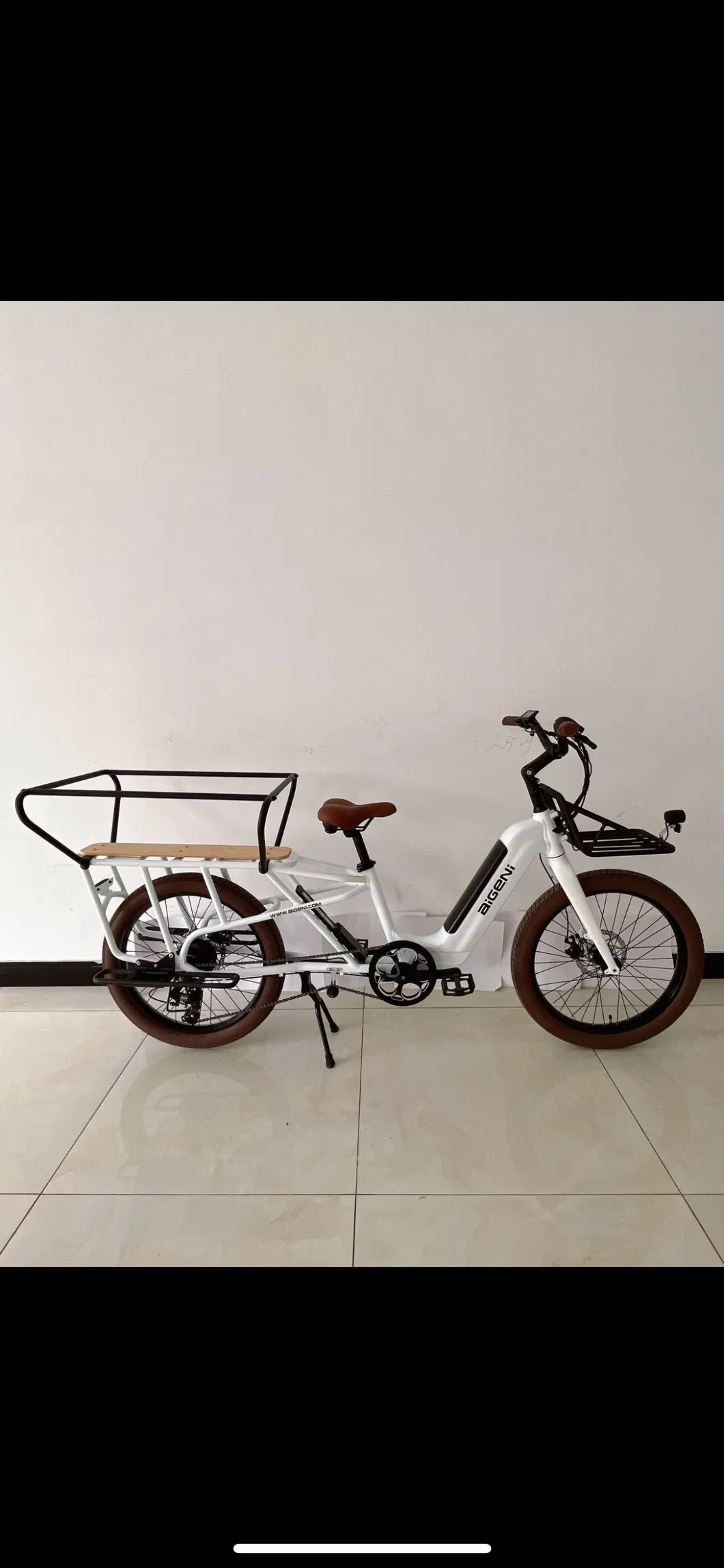 Electric Bicycle Dimensions