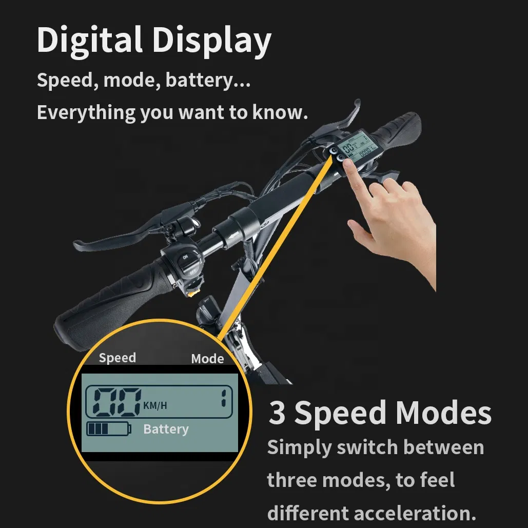 Self Balancing Scooter 48V 1000W Dual Motor Scooter off Road Electric Scooter