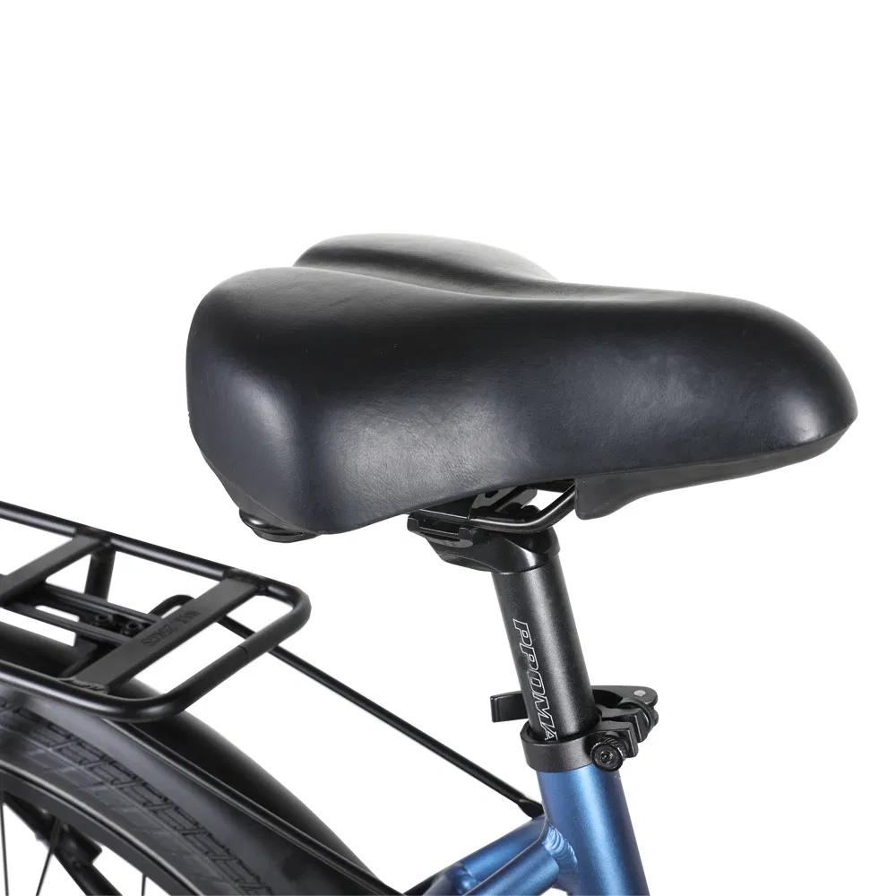 Electric Bike View 6