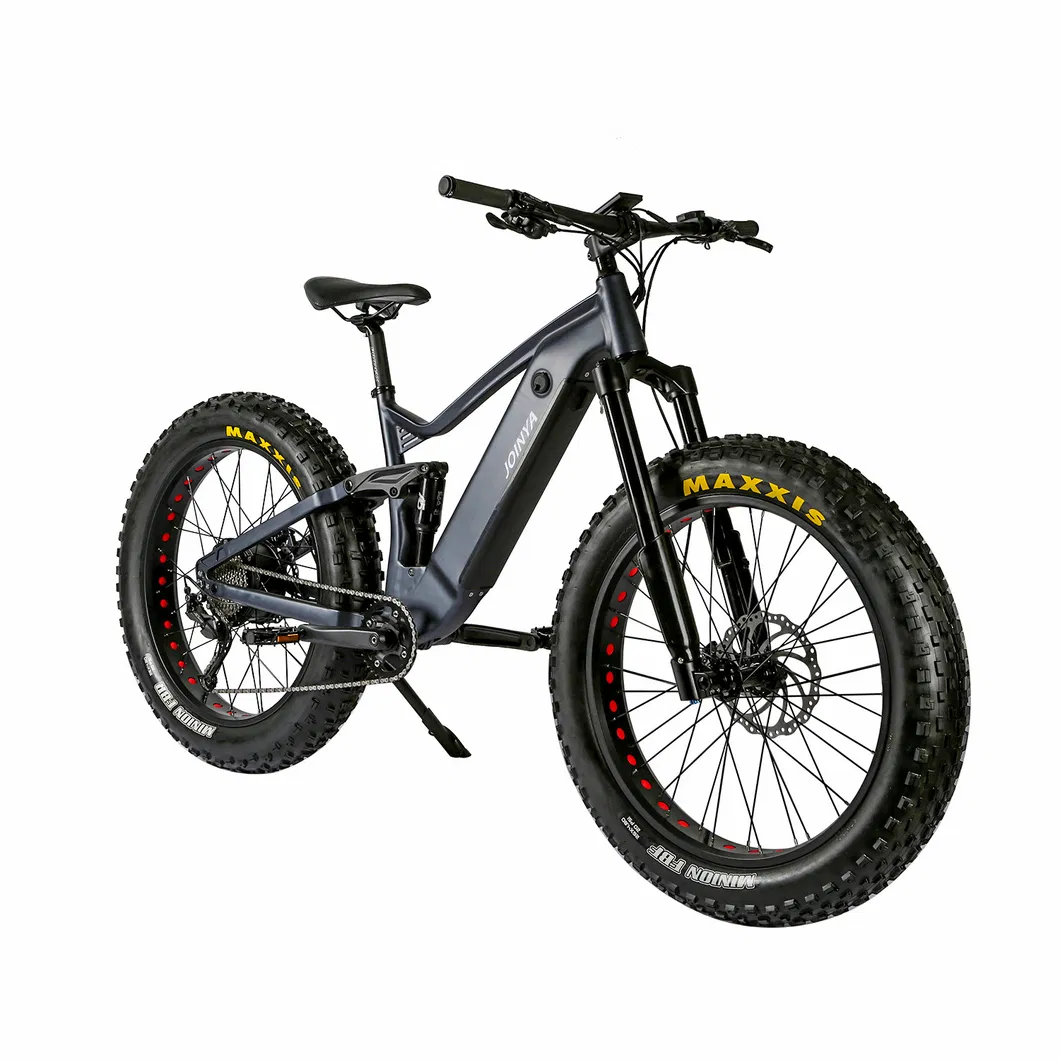Fat Tyre Moped Electric Trekking Urban Sports Bike