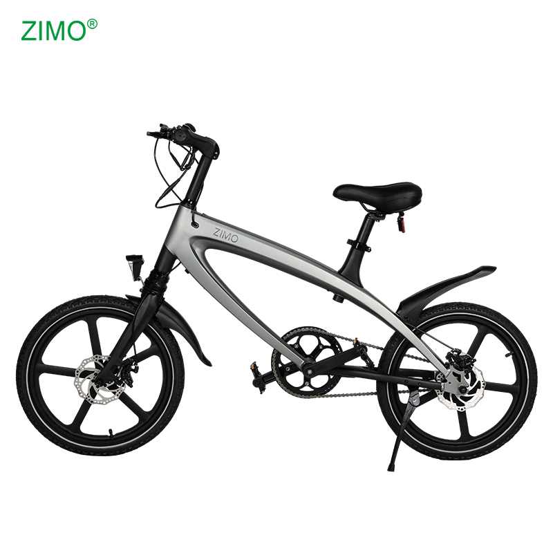 2026 New Popular 36V 240W Fat Tire Mountain Bike E City Bicycle Sports Pedal Assist Electric Bike