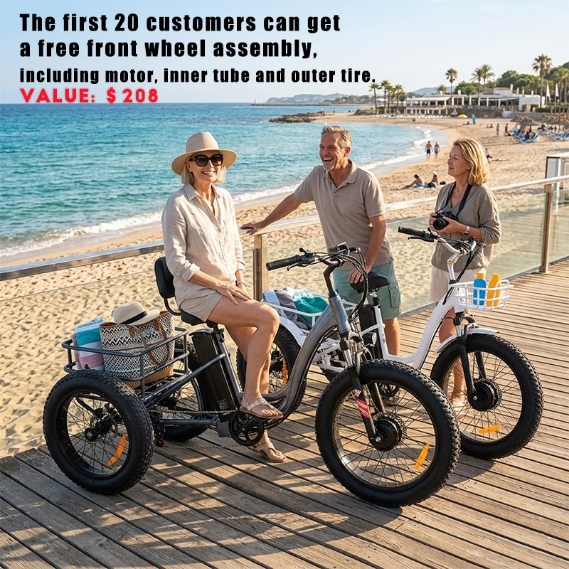 Heavy-Duty 3-Wheel Fat Tire Electric Bike Tricycle Courier E-Trike for Cargo Transport