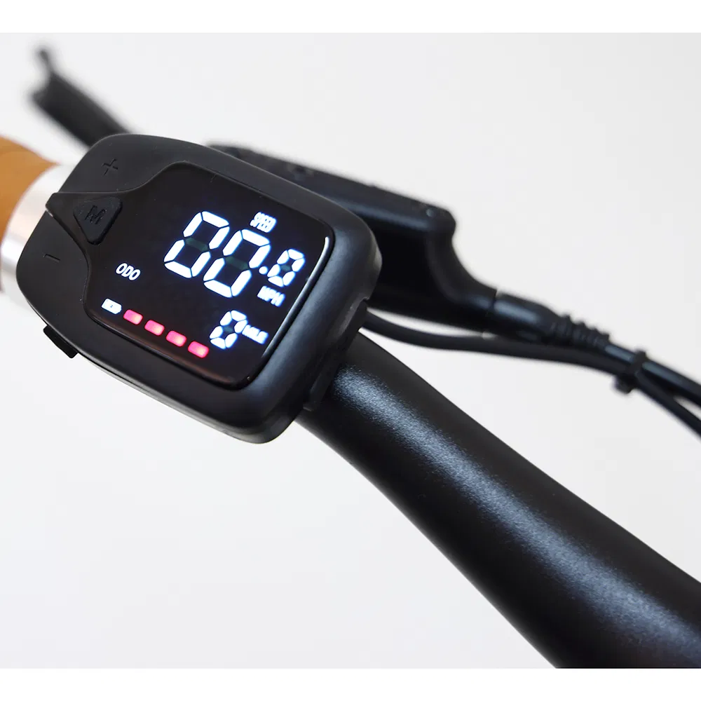 Light Weight Step Through Electric Bike Commuter Bike Sports Bike City Bicycle Ebike