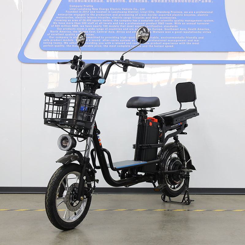 20 Inch Snow Tire High-Strength LiFePO4 Lithium Cargo Electric Bike with Thickened Frame for All Weather Conditions