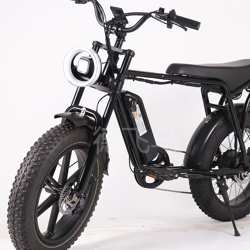 Luxury Electric Fat Tyre Dirt Road Beach Moped Bike E Bike Bicycle