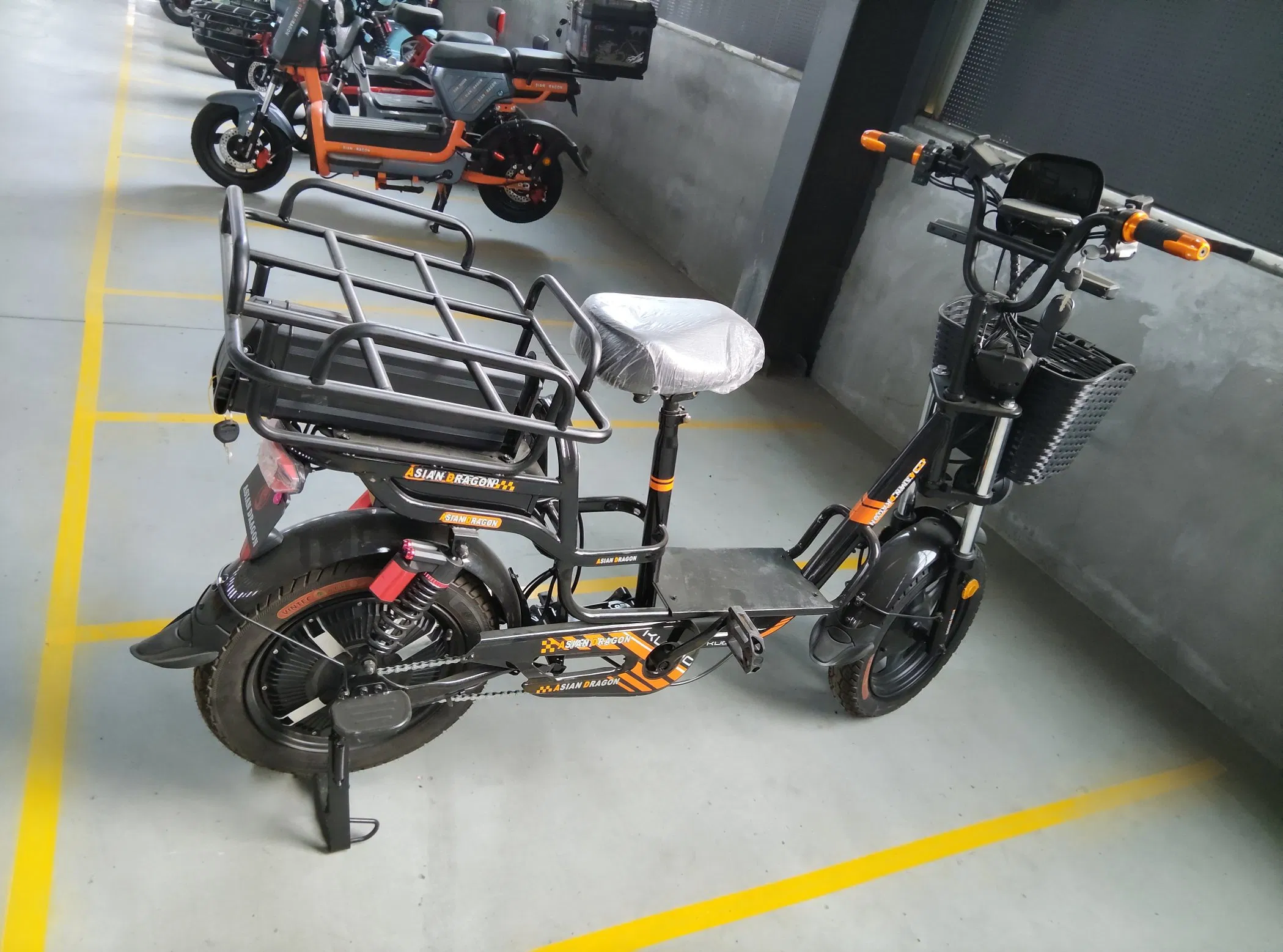 20 Inch Snow Tire High-Strength LiFePO4 Lithium Cargo Electric Bike with Thickened Frame for All Weather Conditions