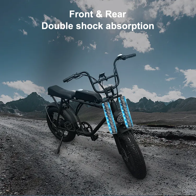 Electric Bike View 6