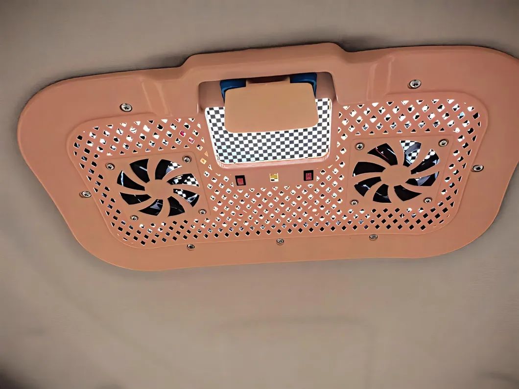 Electric Trike Rear View