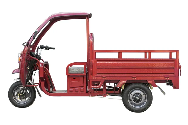 Electric Trike Detail