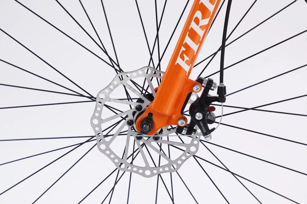 Mountain Bike View 4