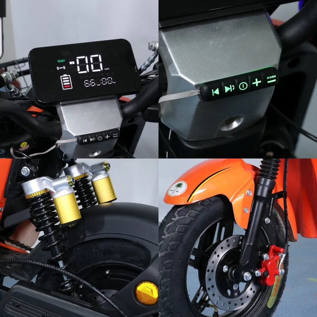 Electric Bicycle Detail 2