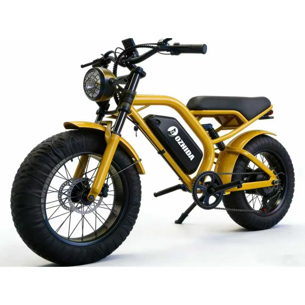 Motorcycle Dirt Electric Bike 20 Inch Fat Tire Ebike with 500W 48V/15ah Lithium Battery