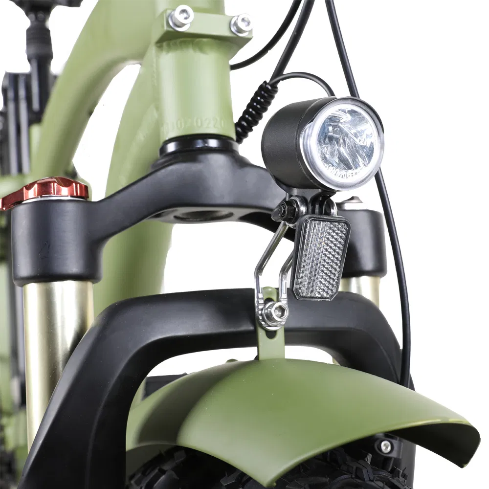 20inch Beach Cruiser Cargo Mini Ebike 500W 750W 7 Speed Electric Bike