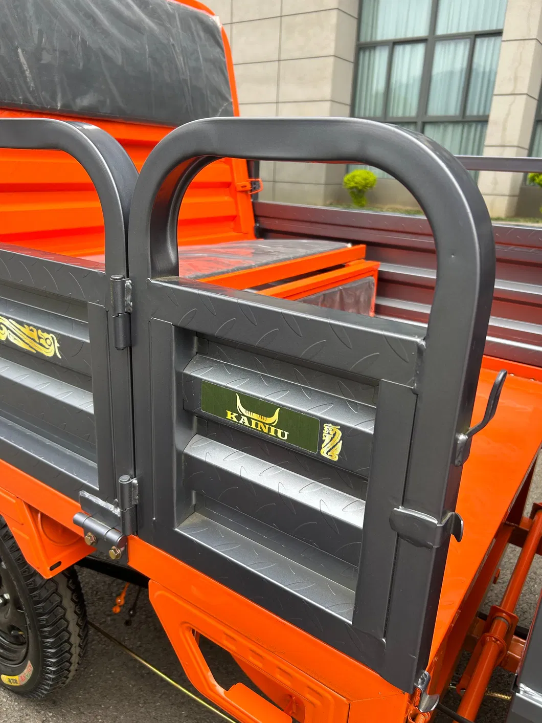 Electric Trike View 11