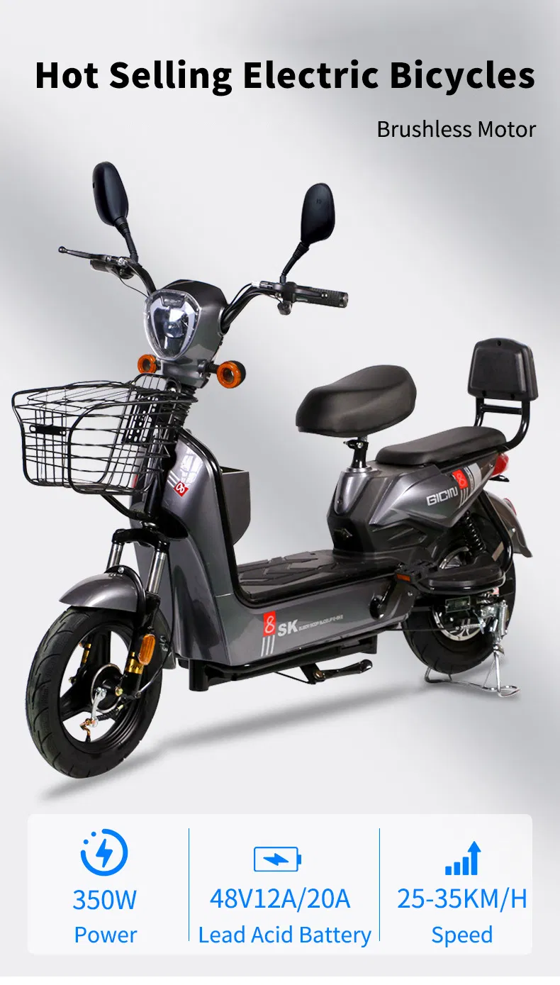 Electric Bike Details 1