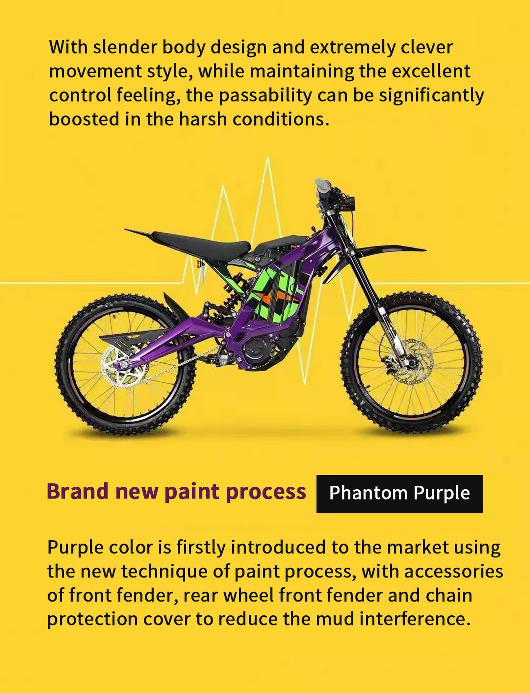 Sur Ron Light Bee X Photo 4