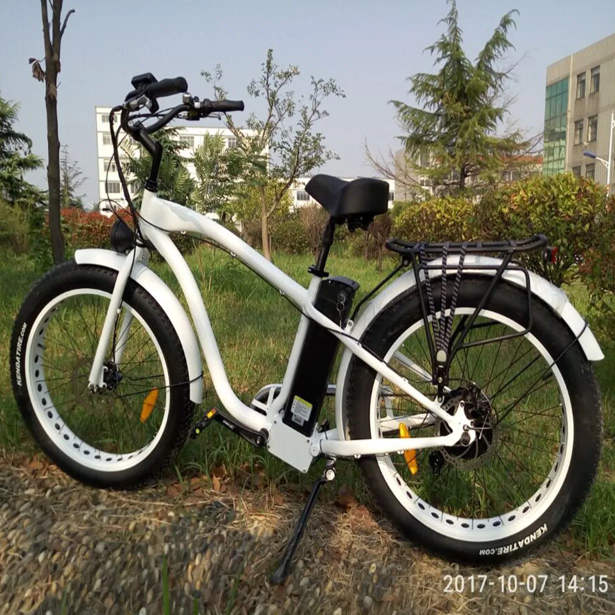 500W/750W Bafun Bafang Motor Fat Tire Mountain Wholesale Electric Bicycle