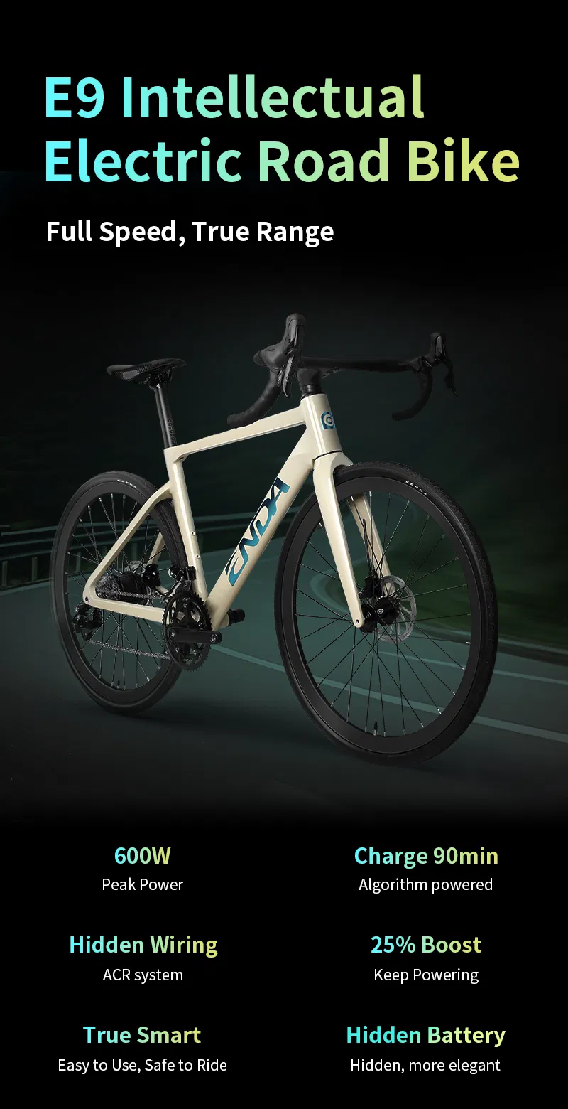 Electric Bike View 1