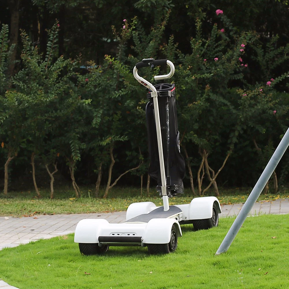 60V 1000W Popular 4 Wheels Golf Cart/Golf Scooter/Golf Electric Skateboard