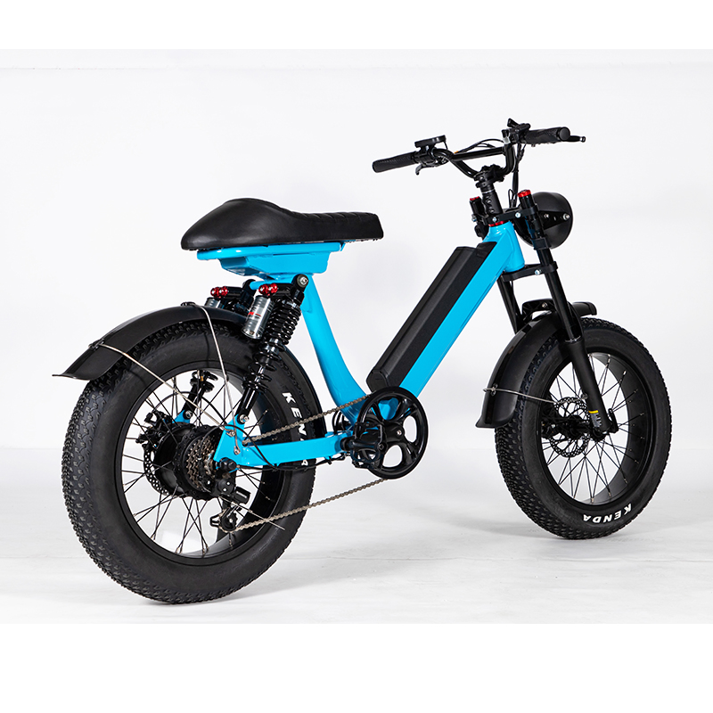 Convenient Light Electric Bike for Adult Commuter Customizable Colors