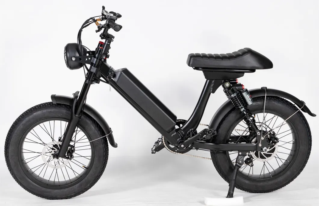 Electric Bike Photo 1