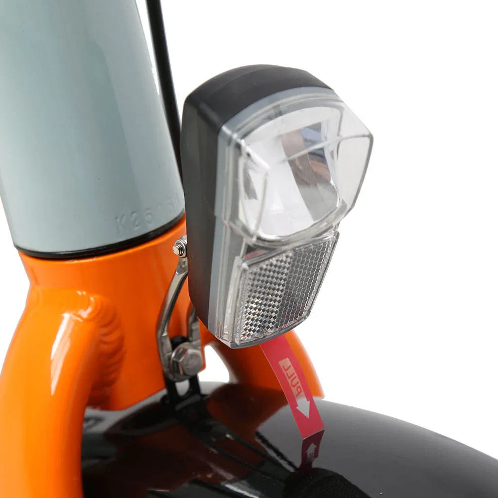 Txed Fast Cargo Bike Alloy Fork Two-Tone Customized Frame 48V/250W Rear Hub Motor Bicycle Dual Battery LCD Panel Delivery Ebike for Adult