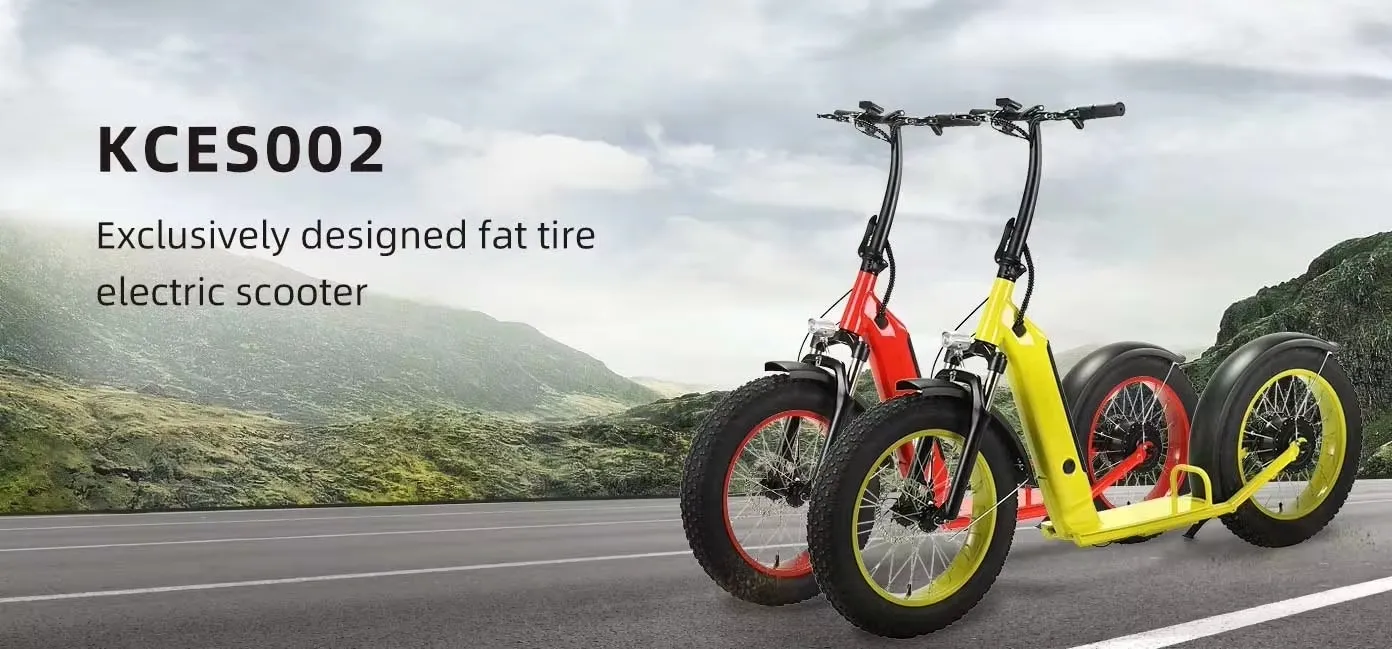 Electric Scooter Overview