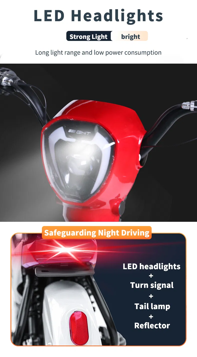 Electric Bike Details 5