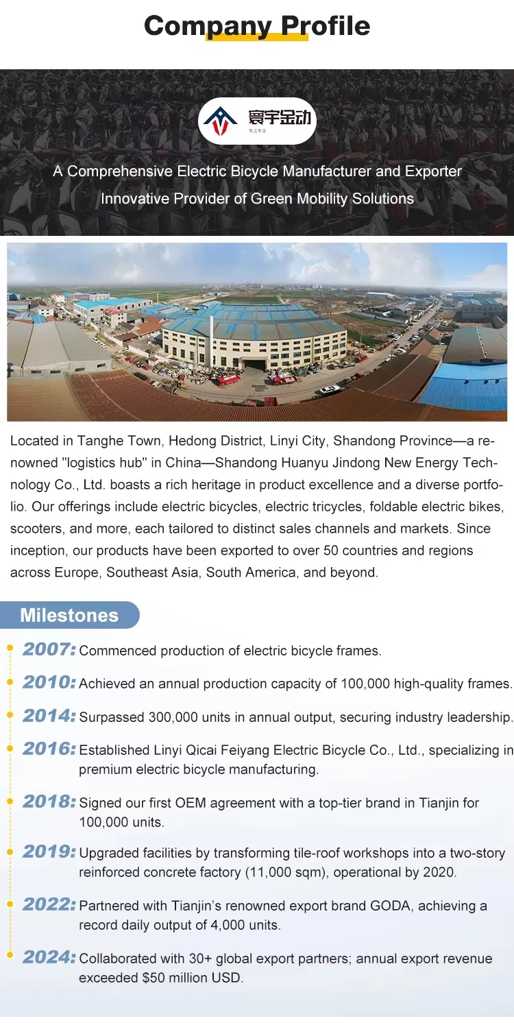 Electric City Bike Photo 6