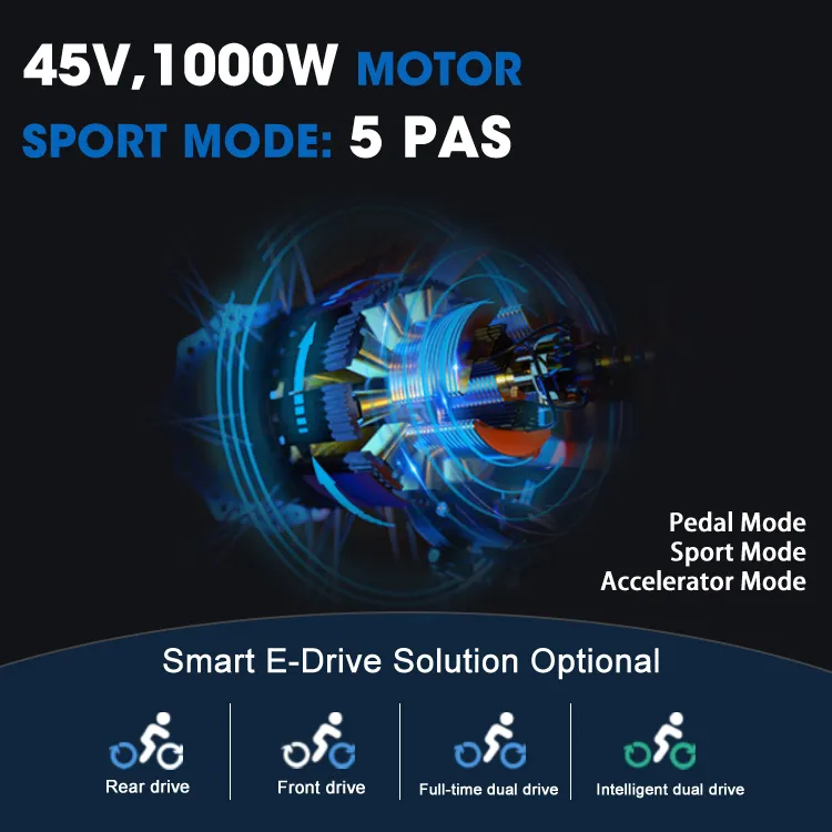 Electric Bike View 2