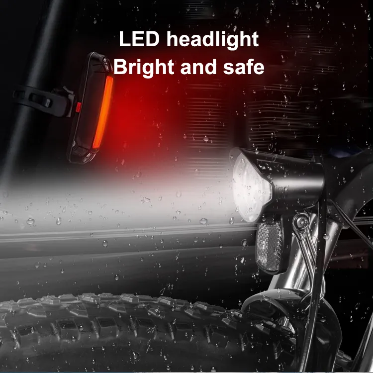 Electric Bike View 5