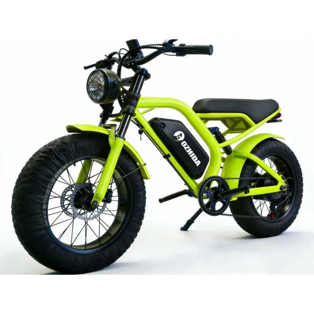 Motorcycle Dirt Electric Bike 20 Inch Fat Tire Ebike with 500W 48V/15ah Lithium Battery