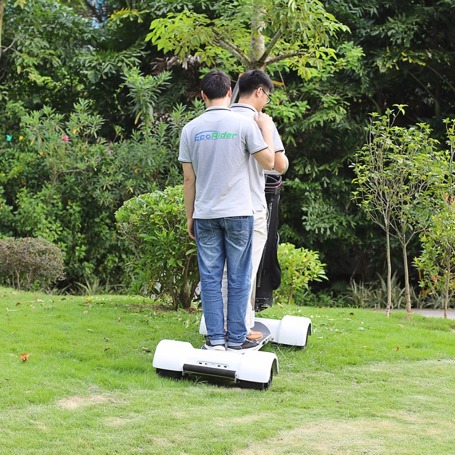 2000 Watt 4 Wheels Electric Mobility Scooter Golfboard Electric Skateboard