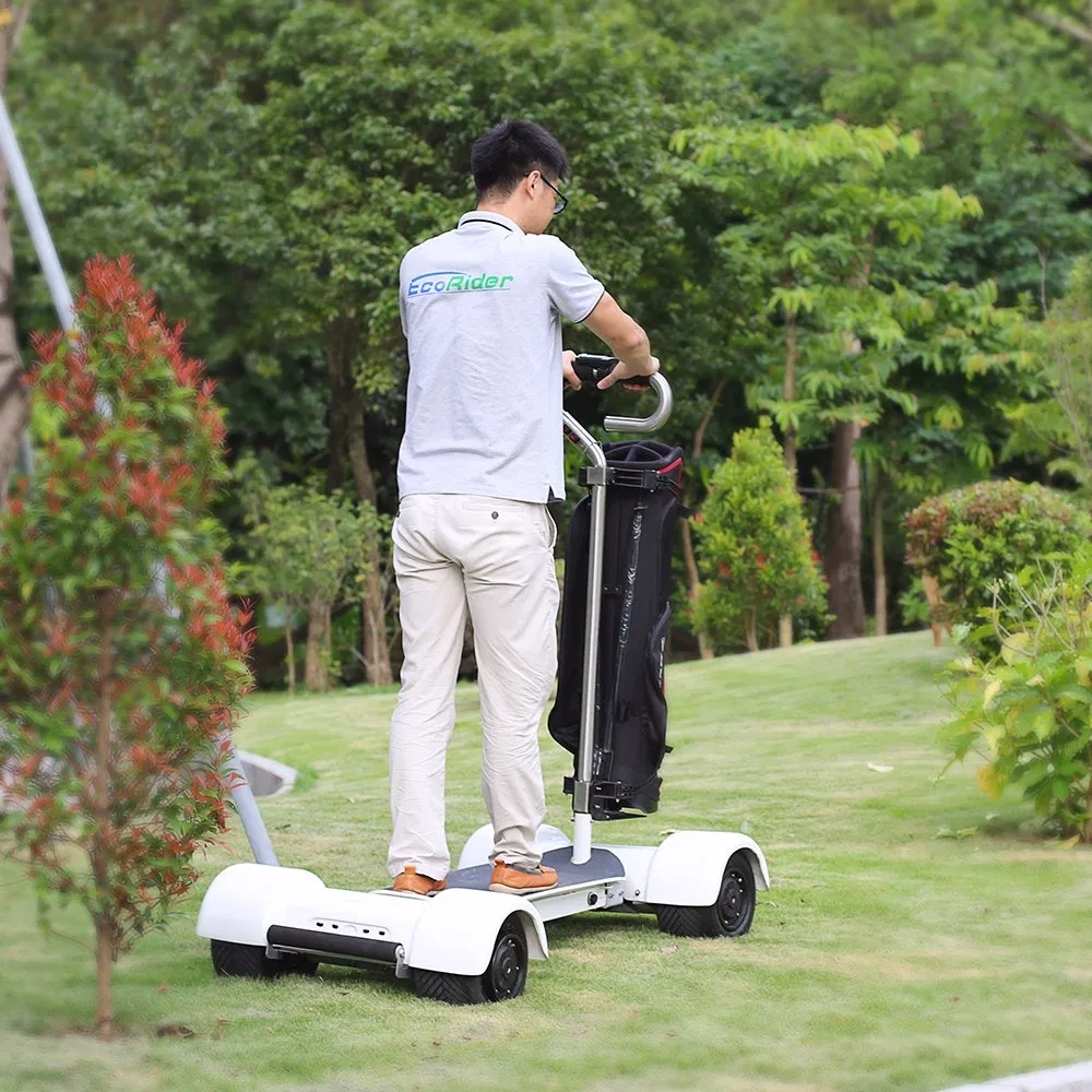 2000 Watt 4 Wheels Electric Mobility Scooter Golfboard Electric Skateboard