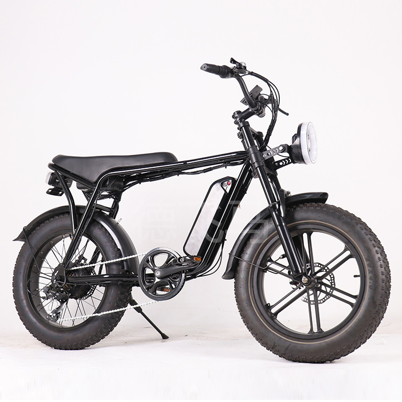 Luxury Electric Fat Tyre Dirt Road Beach Moped Bike E Bike Bicycle
