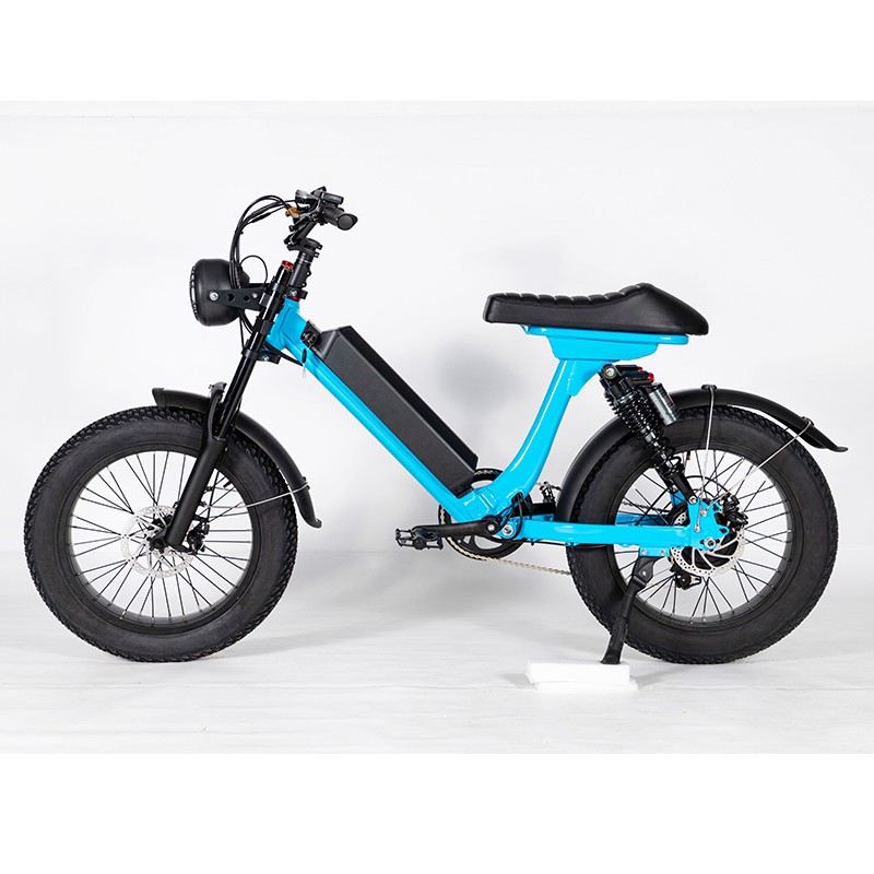 Convenient Light Electric Bike for Adult Commuter Customizable Colors