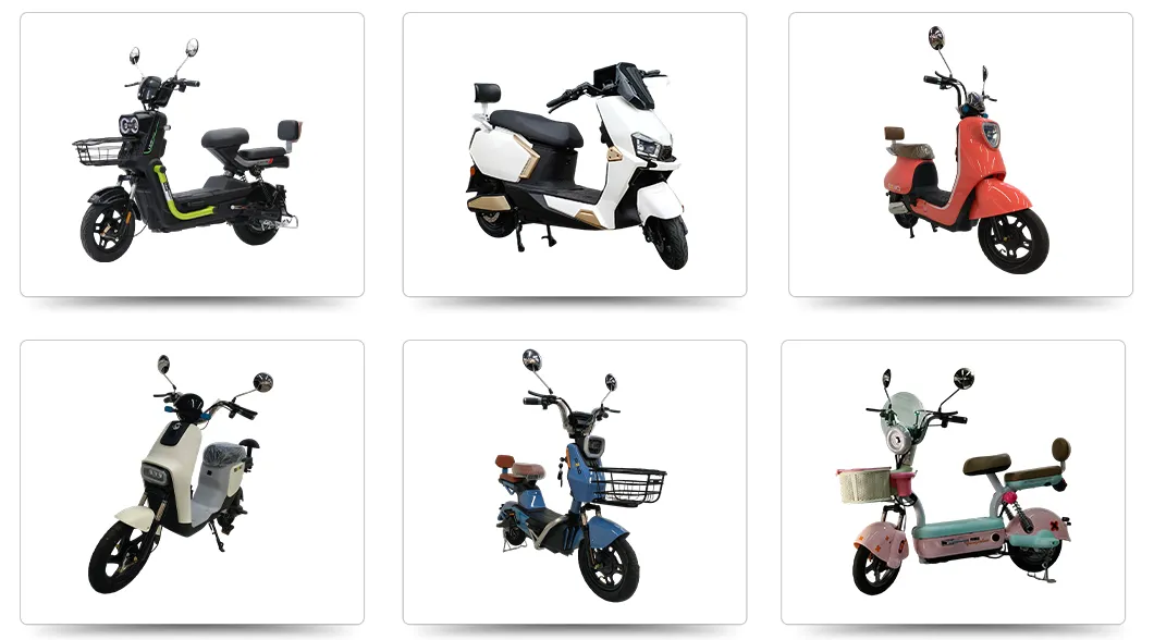 Main Product Showcase