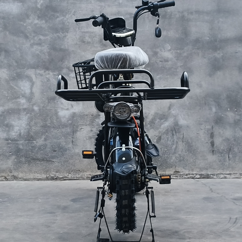 60V20A Lithium Battery Electric Bicycle /Electric Bike/Cargo Bike Electric /Ebike for Efficient off-Road Food Delivery