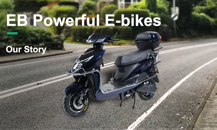 Electric Scooter Overview