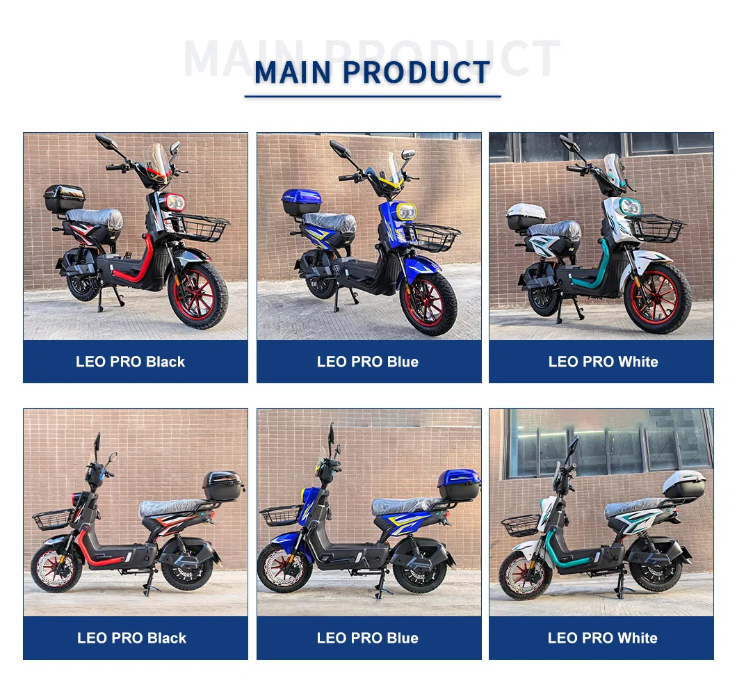 Cargo Electric Bike Side View