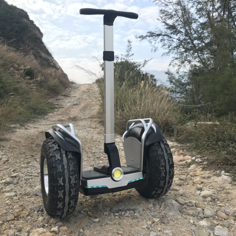 20inch Offroad Adult Two Wheel Golf Electric Self Balance Scooter Electrical Scooter