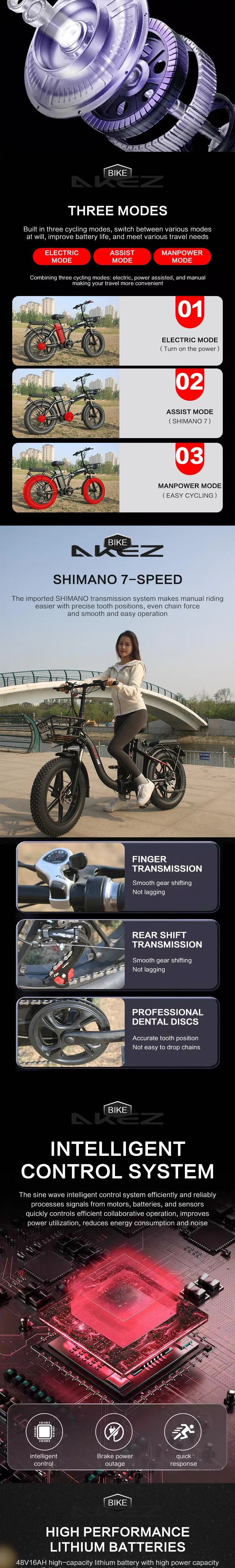 Folding Electric Bike View 2