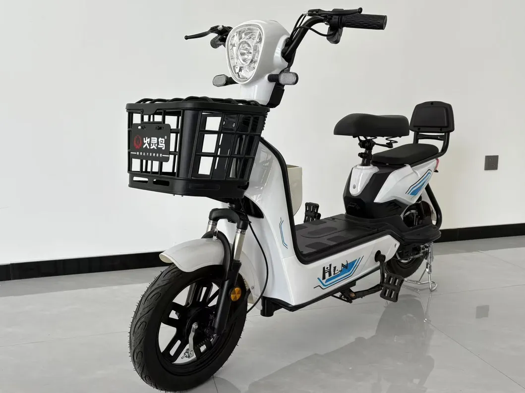 Electric Bike View 1