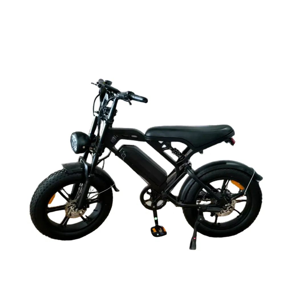 Fat Bike 20*4.0 Snow Tire Xtremetrail 48V Offroad Dirt Ebike with 13.4ah Battery