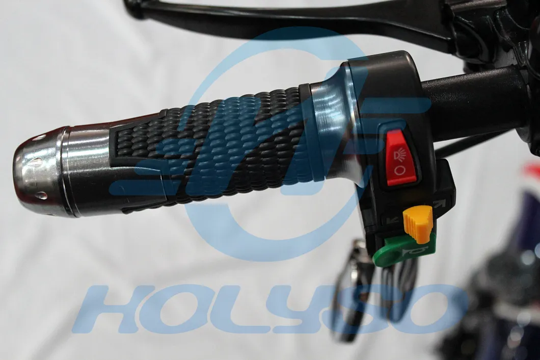 Electric Scooter View 1