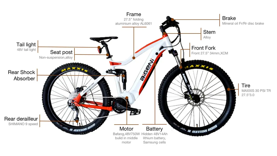 Electric Mountain Bike 2
