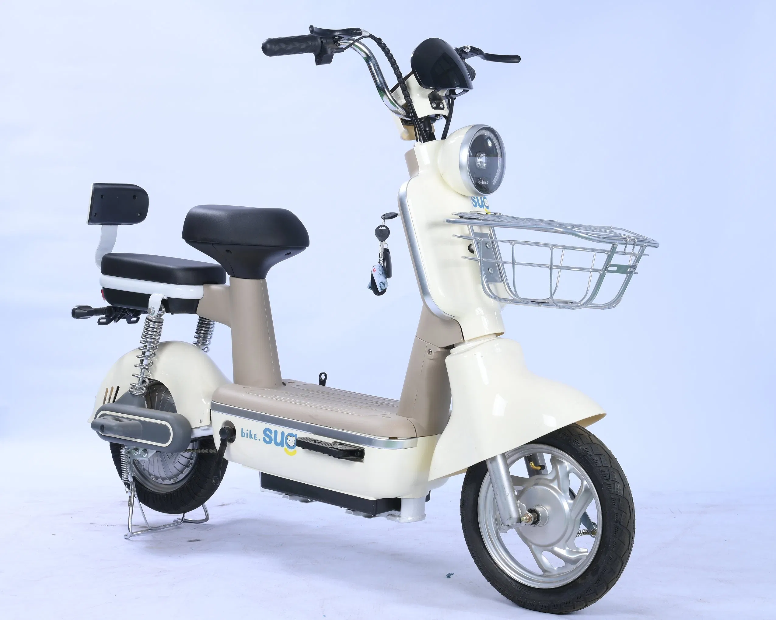 Popular Electric Bicycle Fat-Tire Electric Bike Designed for Adult