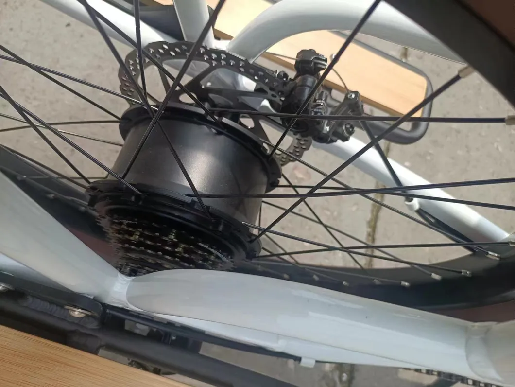 Electric Bicycle Features