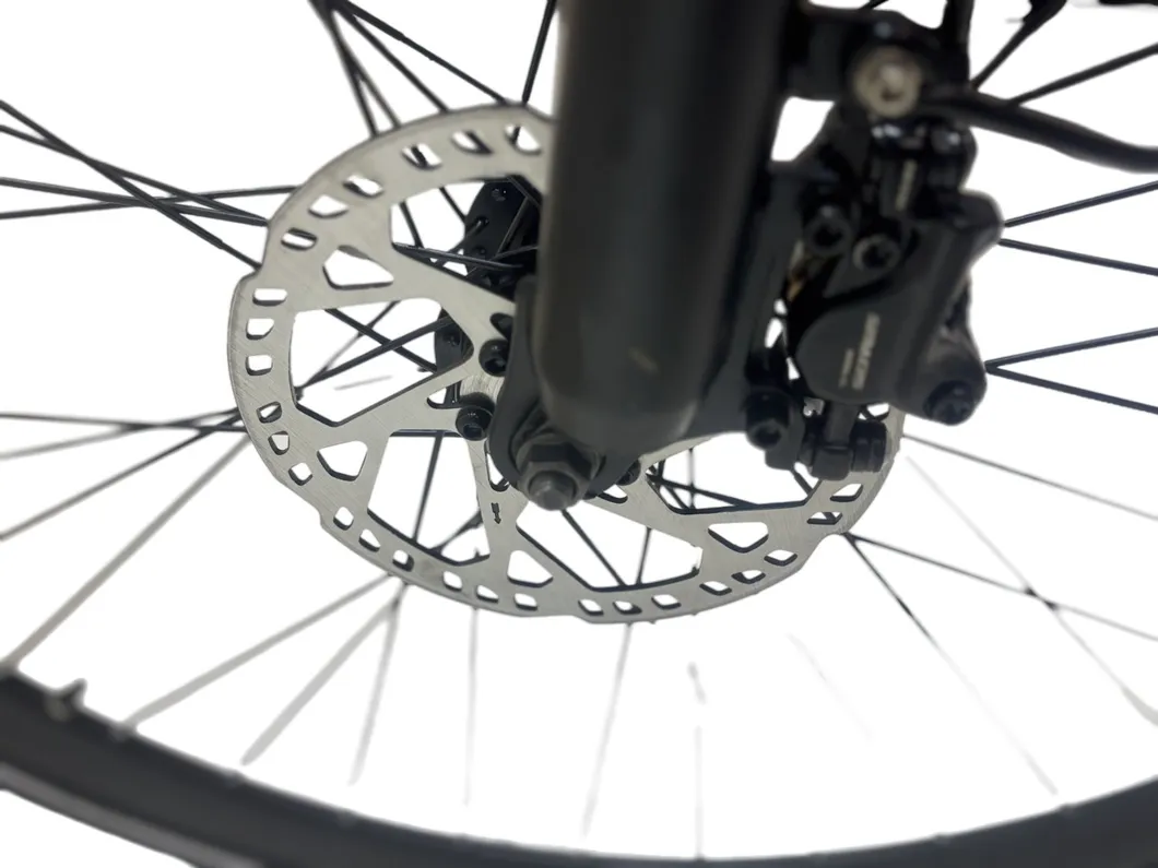 Disc brakes