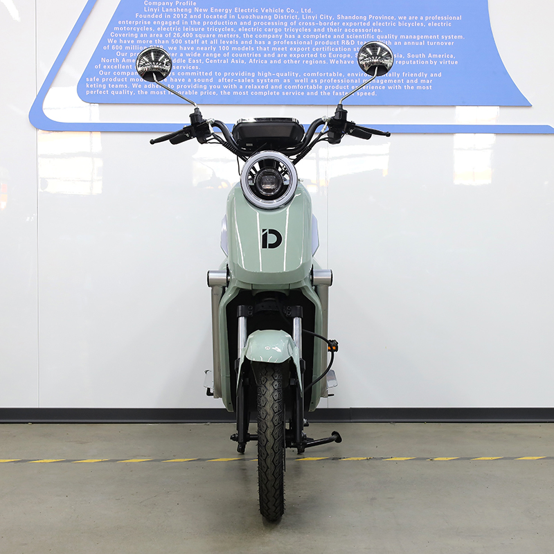 Powerfu; U2 1500W Lithium/Acid Battery Cargo Motorcycle/ E-Bike / Electric Bike for Long Distance Daily Riding Needs